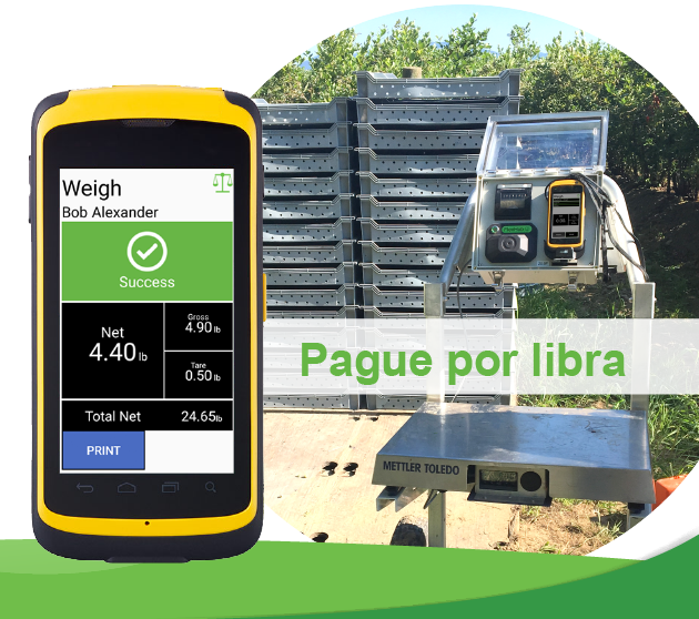 Báscula de cosecha avanzada FairPick Flex