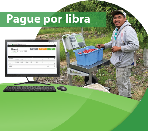 FairPick Pro harvest farm scale system for fruit and vegetable pickers