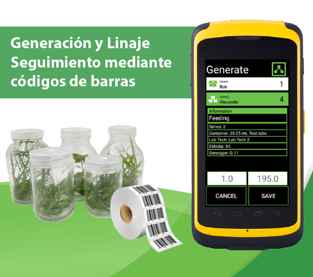 electronic tissue culture and lineage tracking